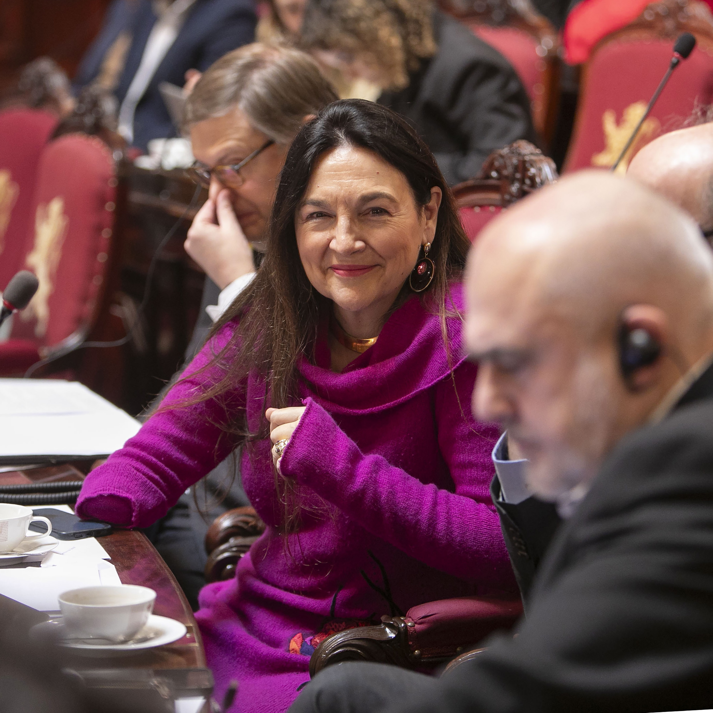  De Senaat past de regels aan voor de werking van de commissies