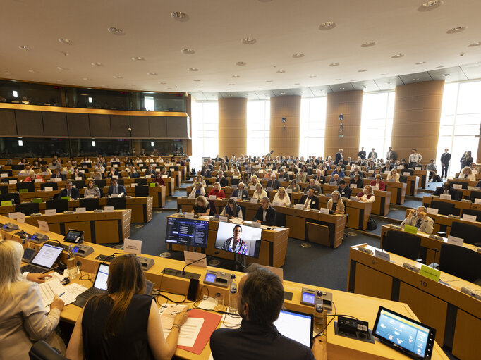  Réunion de commission interparlementaire sur la réforme de l’UE en vue de l’élargissement