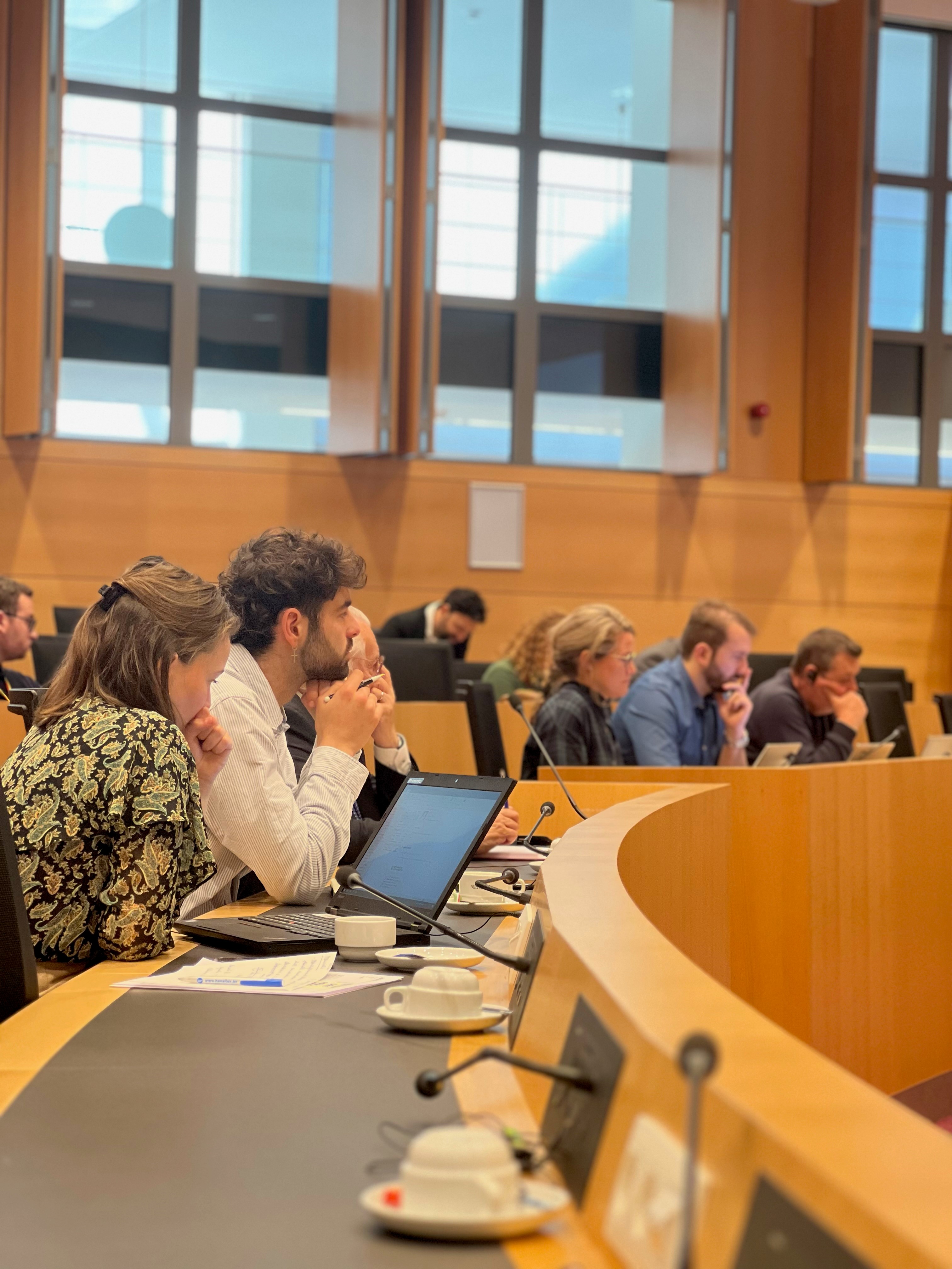  Gedachtewisseling met de premier over de vergaderingen van de Europese Raad