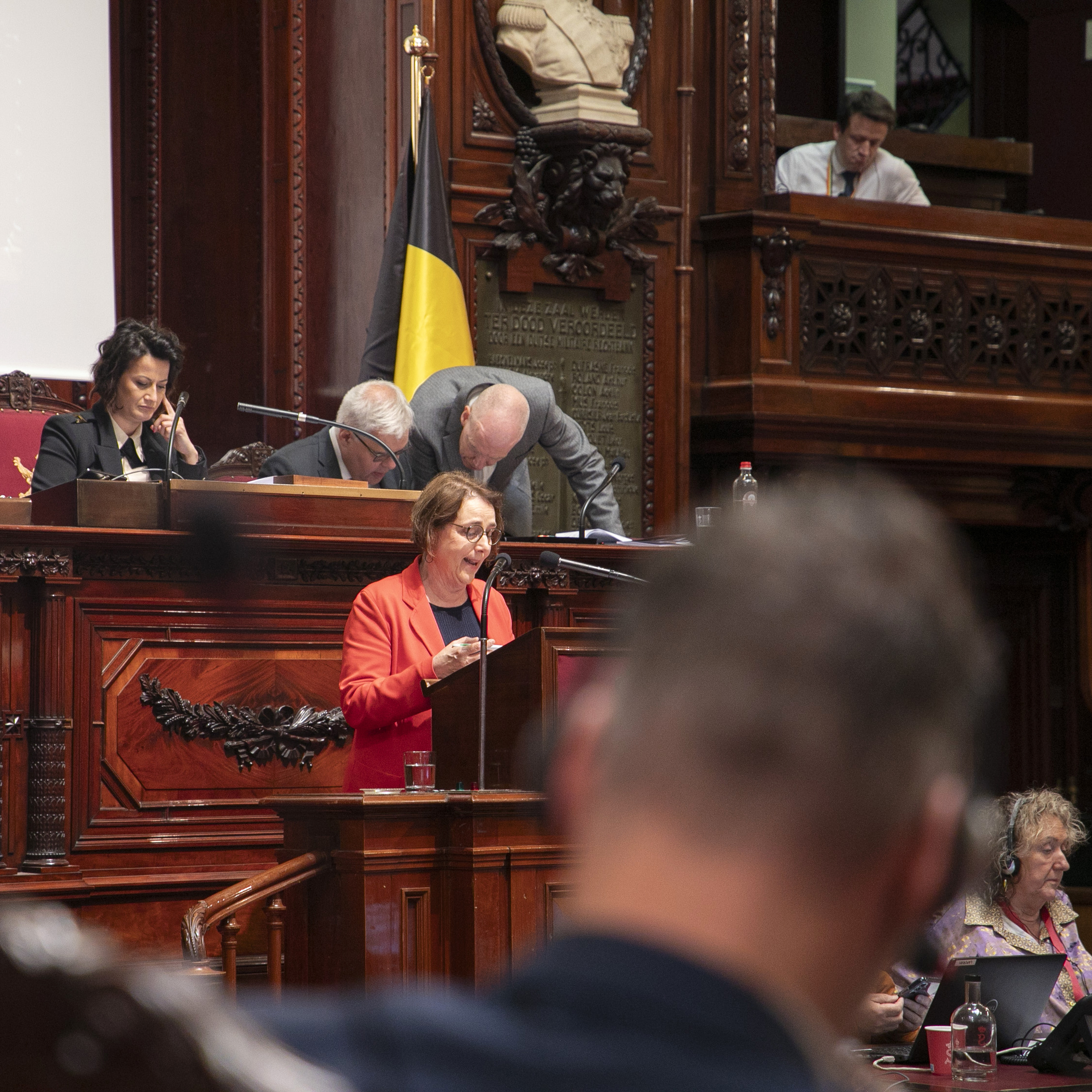  De Senaat stemt over het ontwerp van verklaring tot herziening van de Grondwet