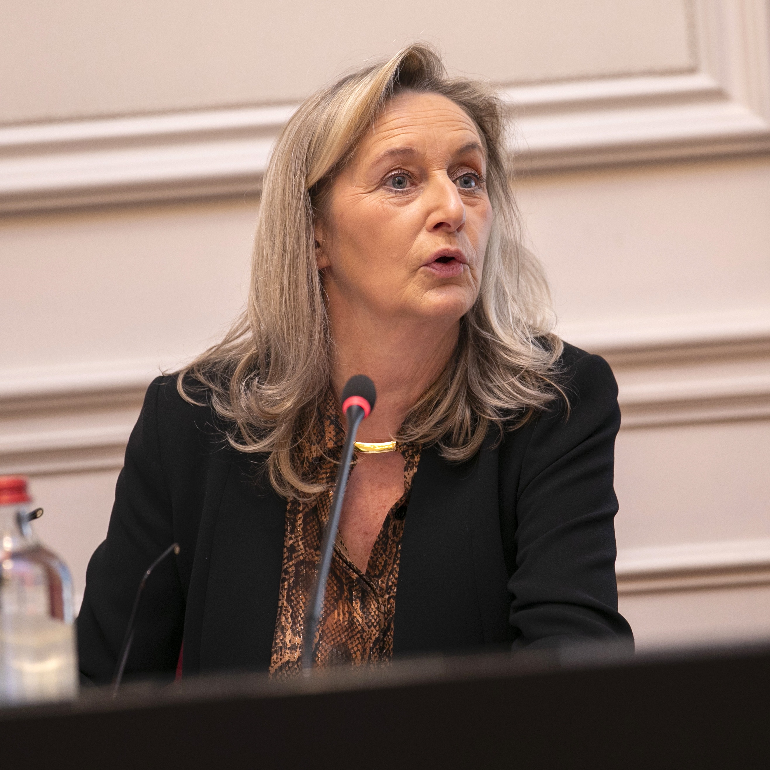  2 nieuwe informatieverslagen voor de Senaat