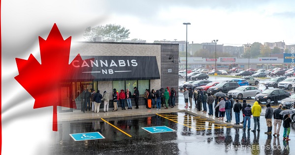  COMTRANS organiseert een hoorzitting over de drugswet
