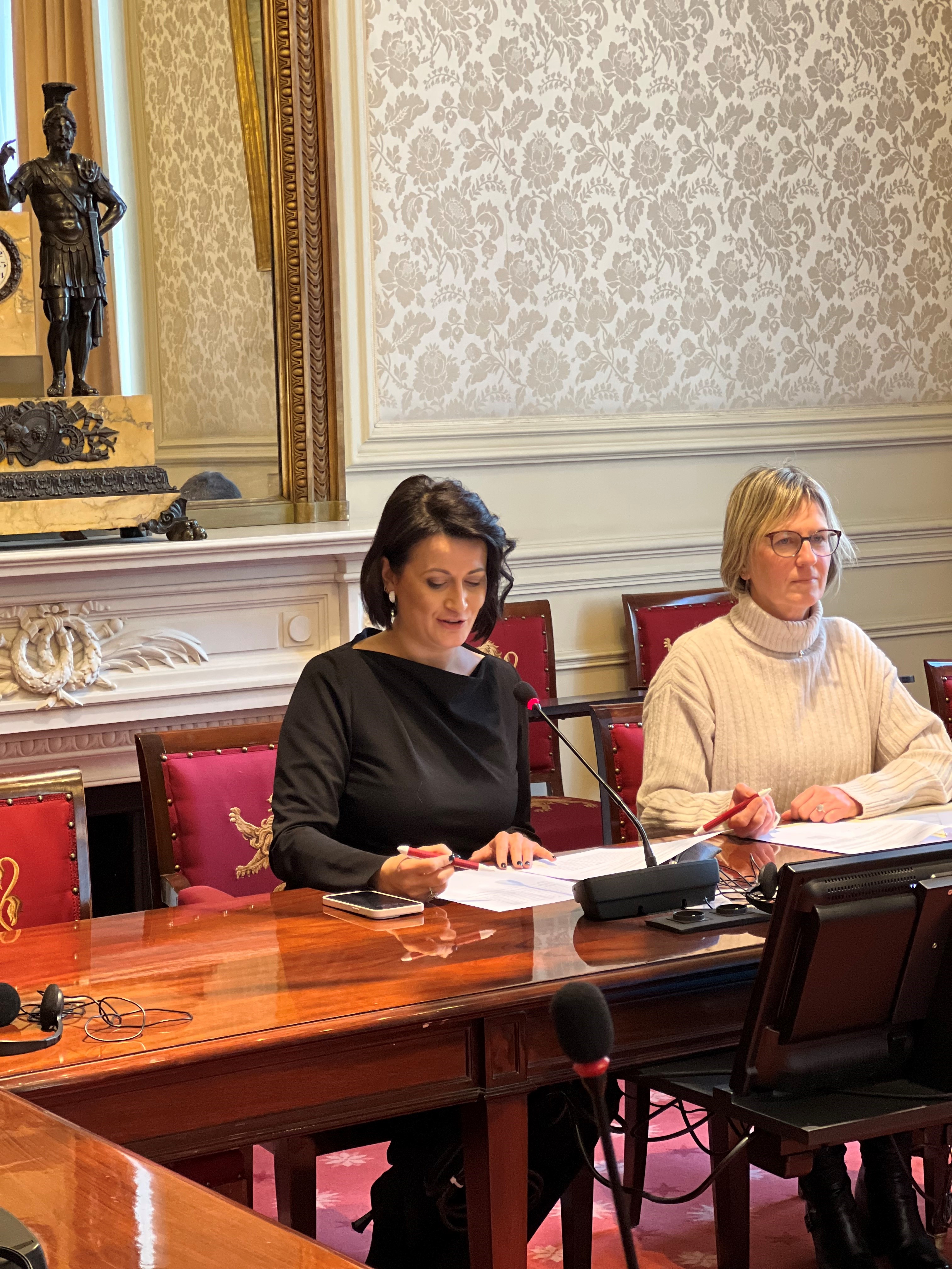  Loting voor gemengde commissies en burgerpanels