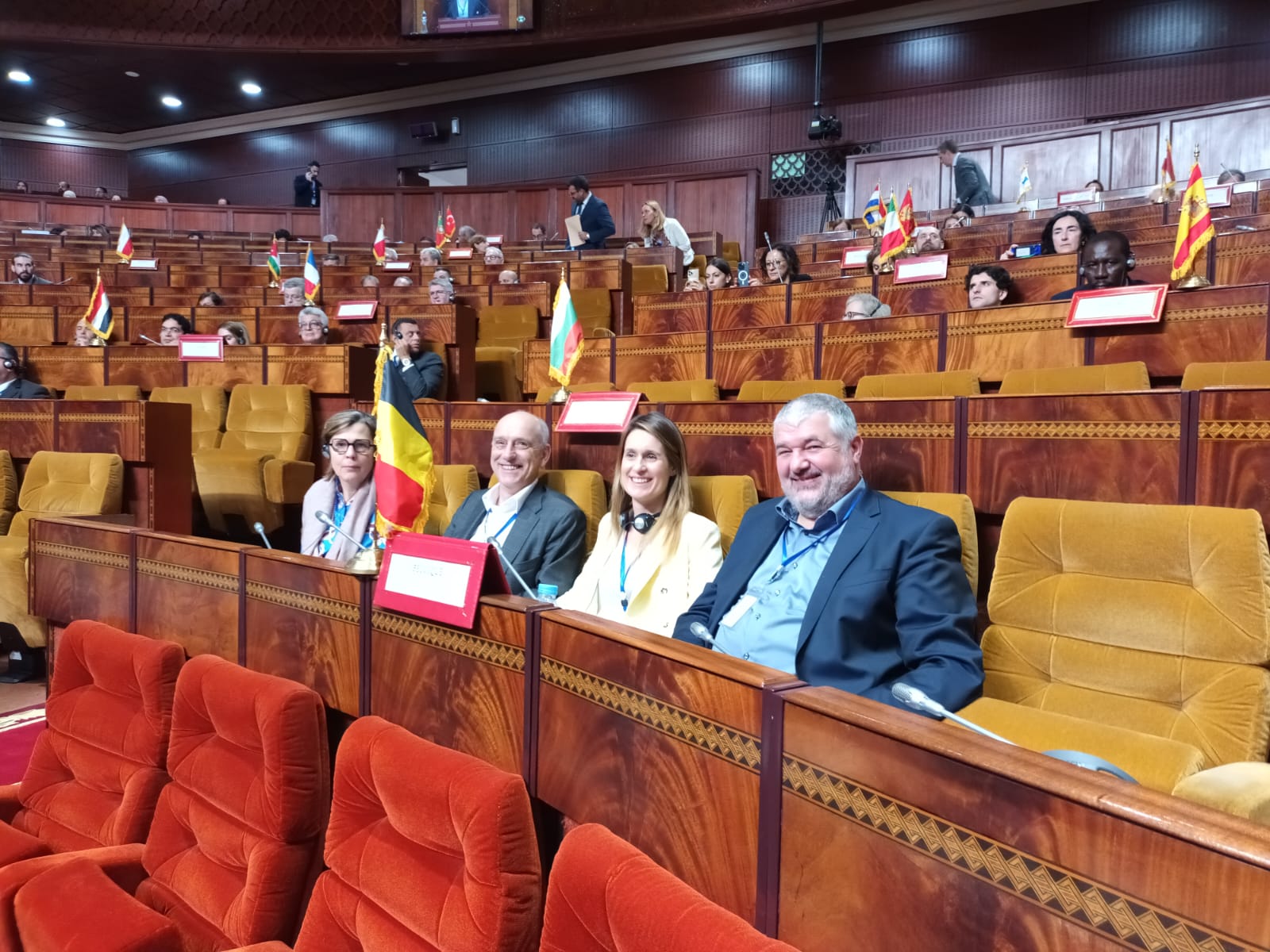  Plenaire vergadering van de Parlementaire Assemblee van de Unie voor de Middellandse Zee