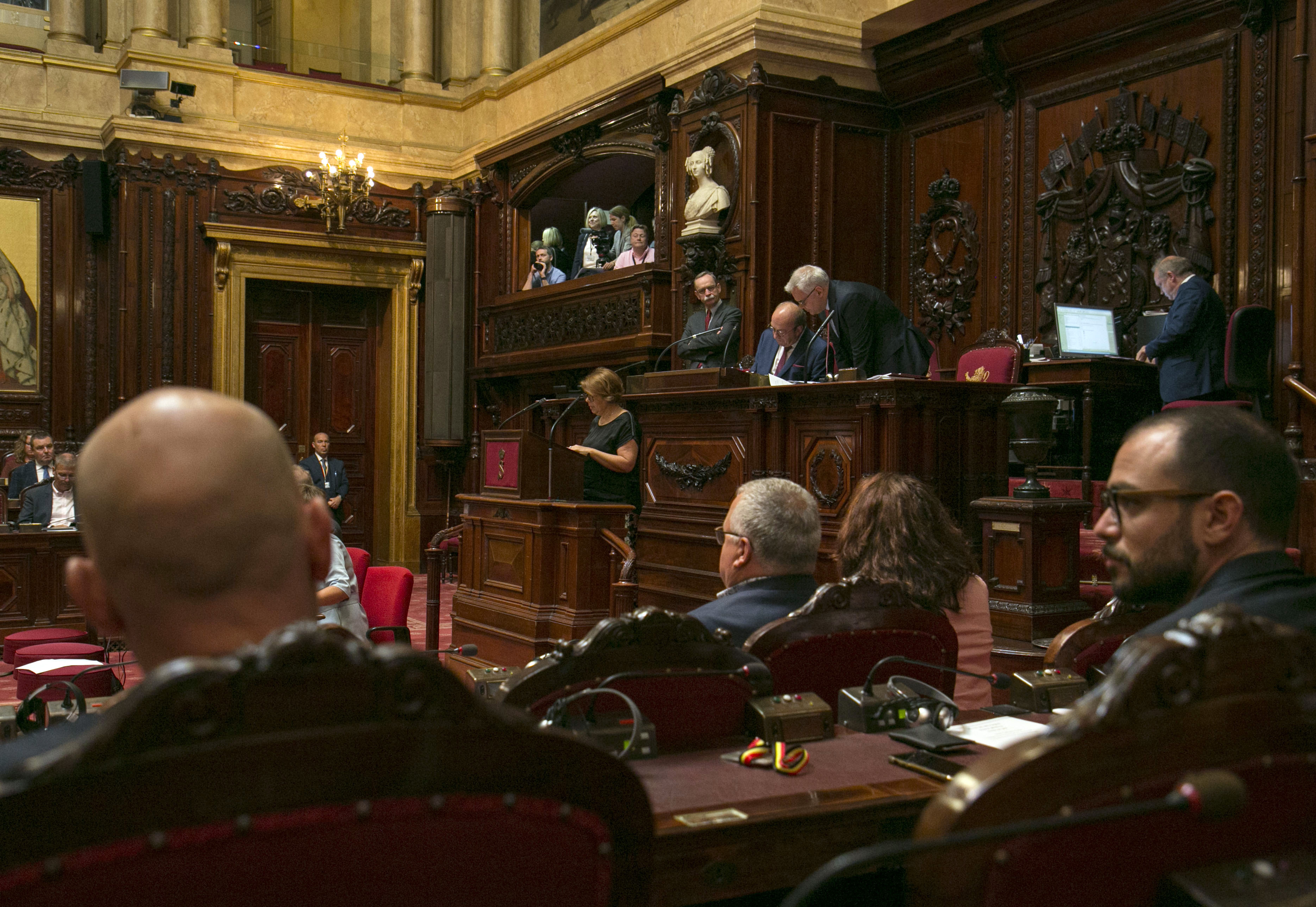  11 nieuwe senatoren