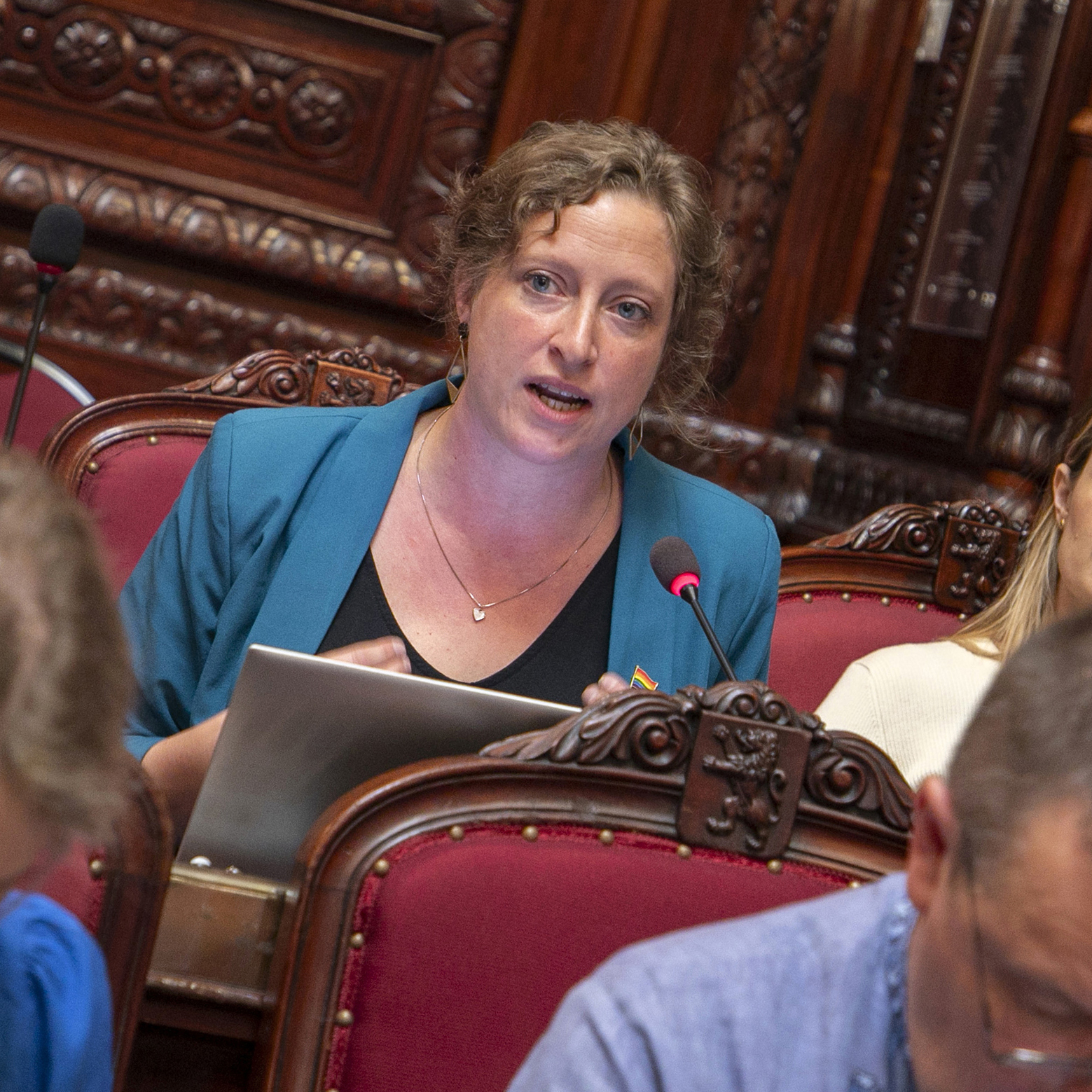  De Senaat vraagt een betere integratie van mensen met een mentale stoornis