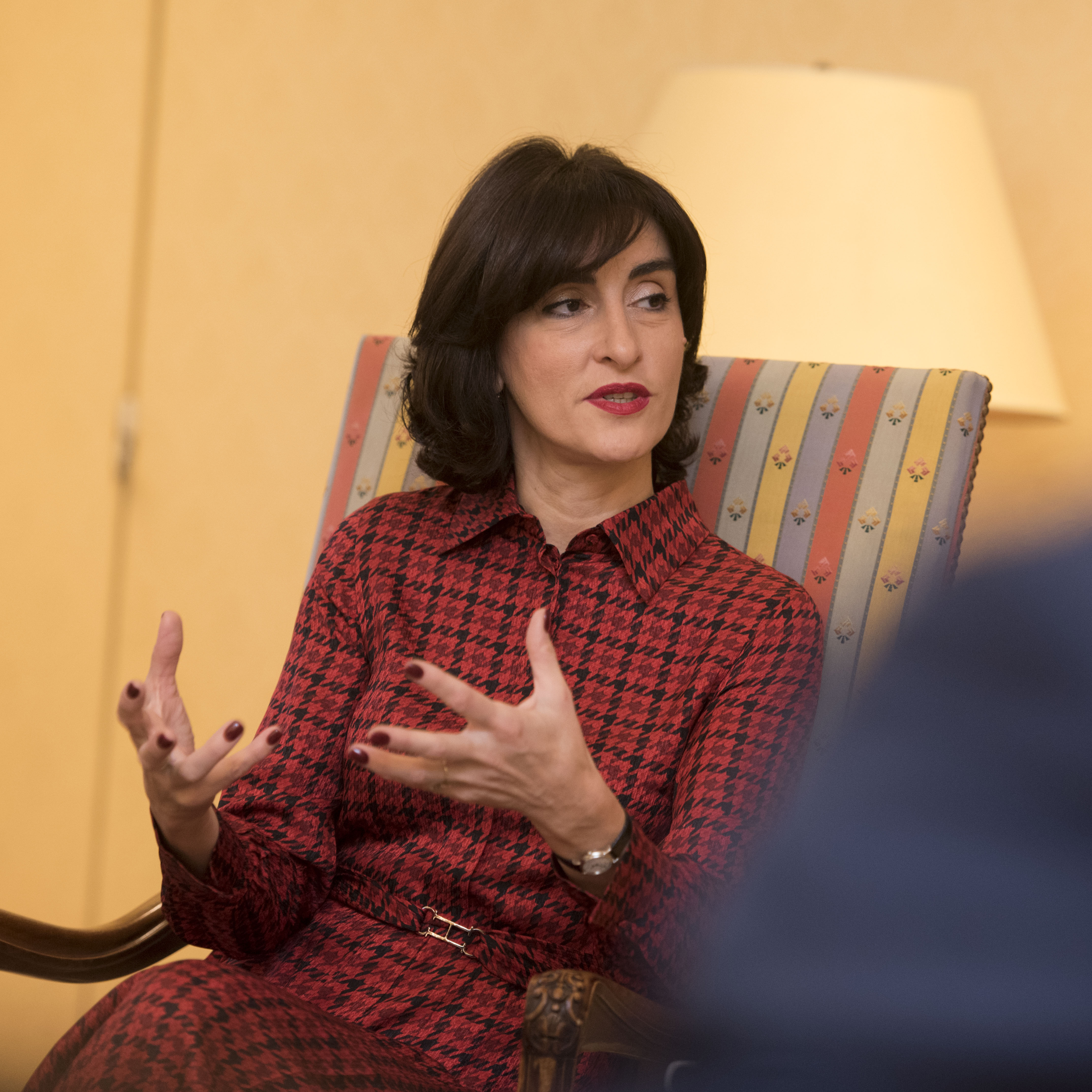  Bezoek van de Commissie voor de Europese Integratie van het Parlement van Georgië