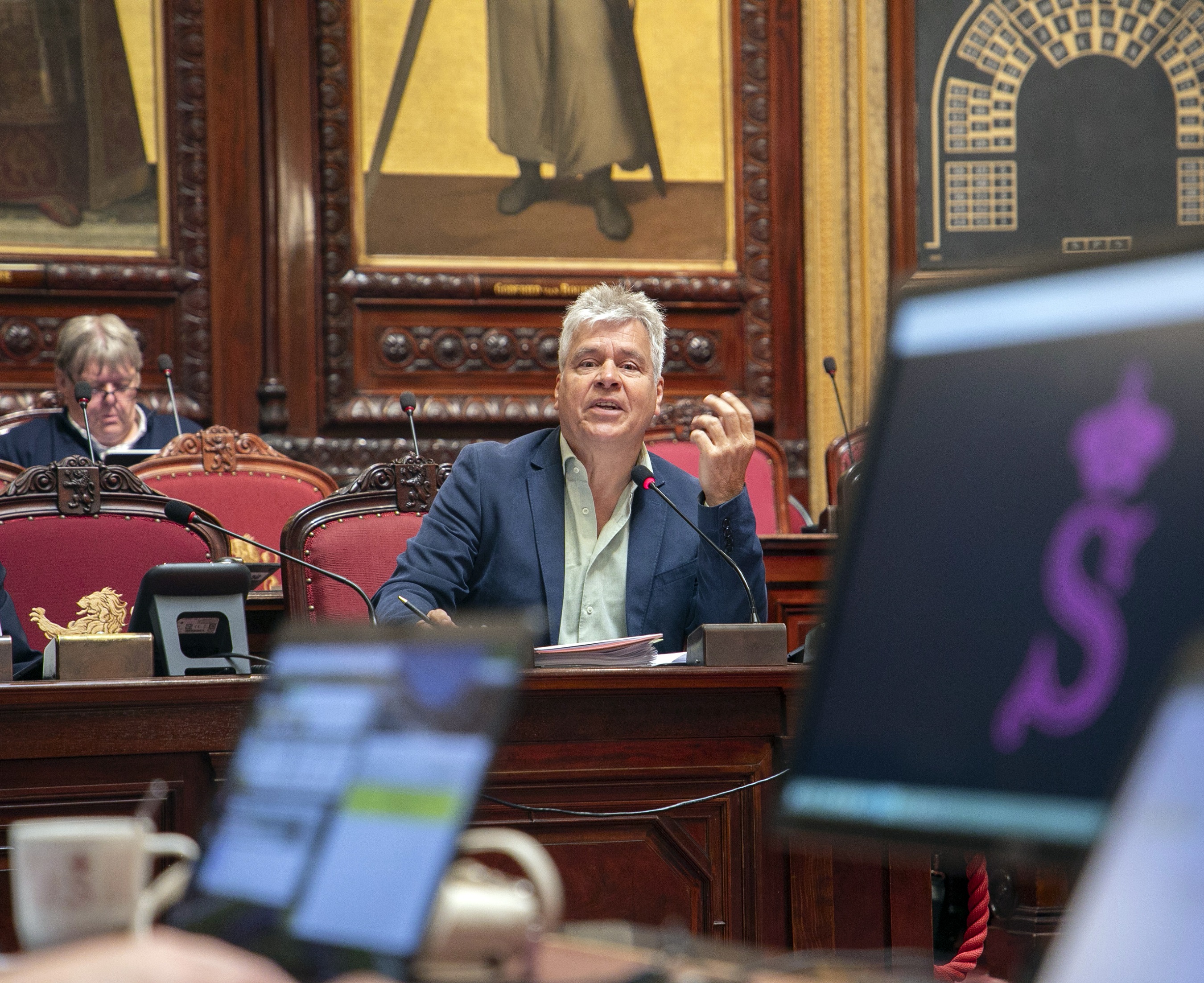  De Senaat vraagt een betere integratie van mensen met een mentale stoornis