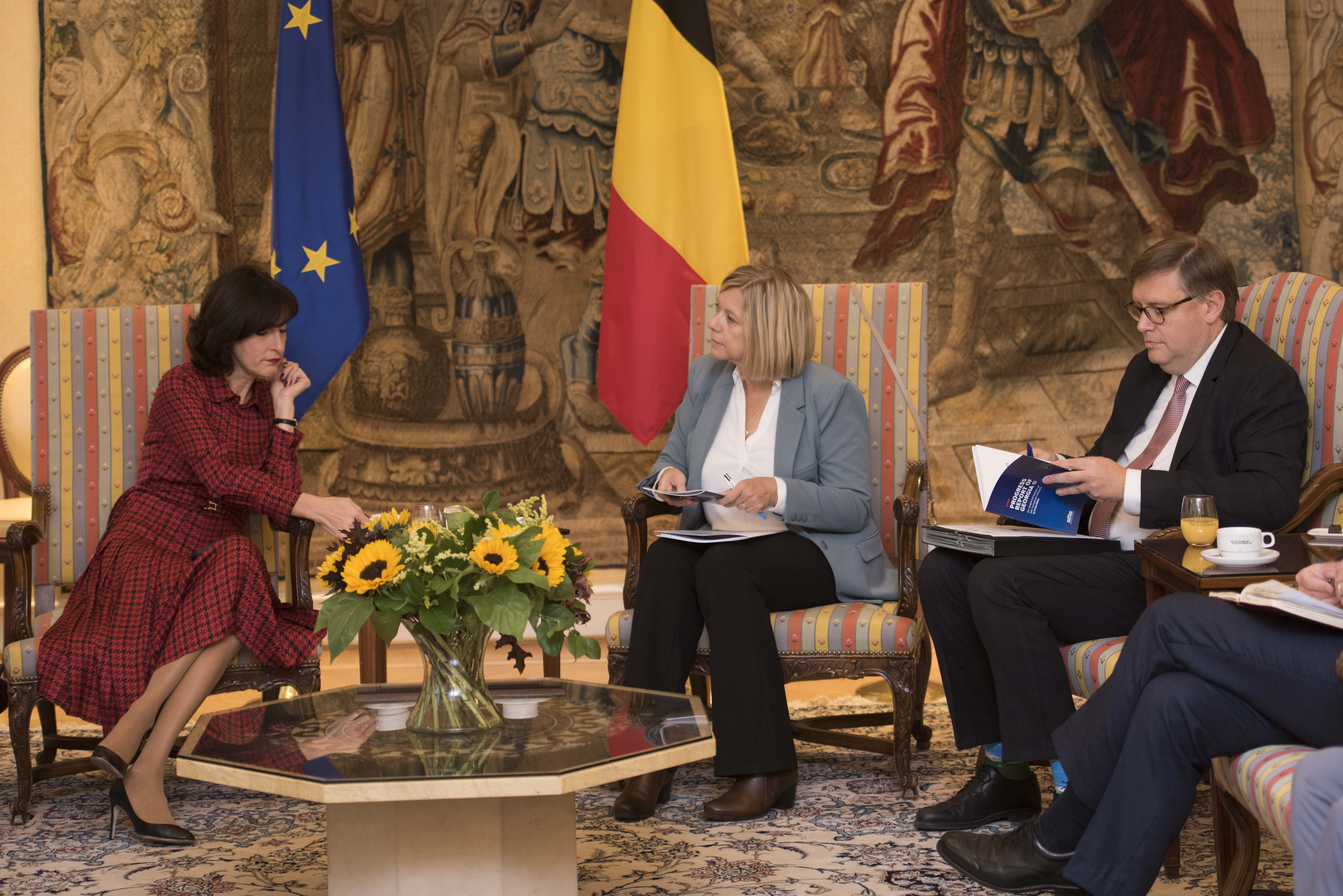  Bezoek van de Commissie voor de Europese Integratie van het Parlement van Georgië