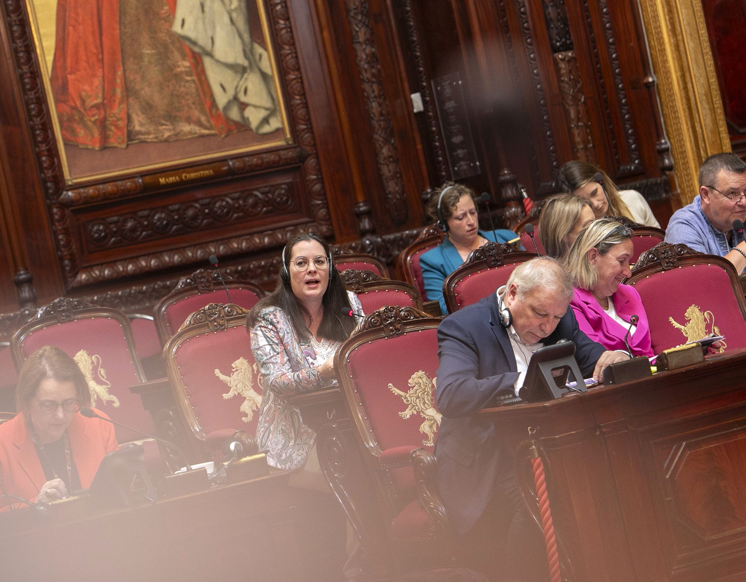  De Senaat vraagt een betere integratie van mensen met een mentale stoornis