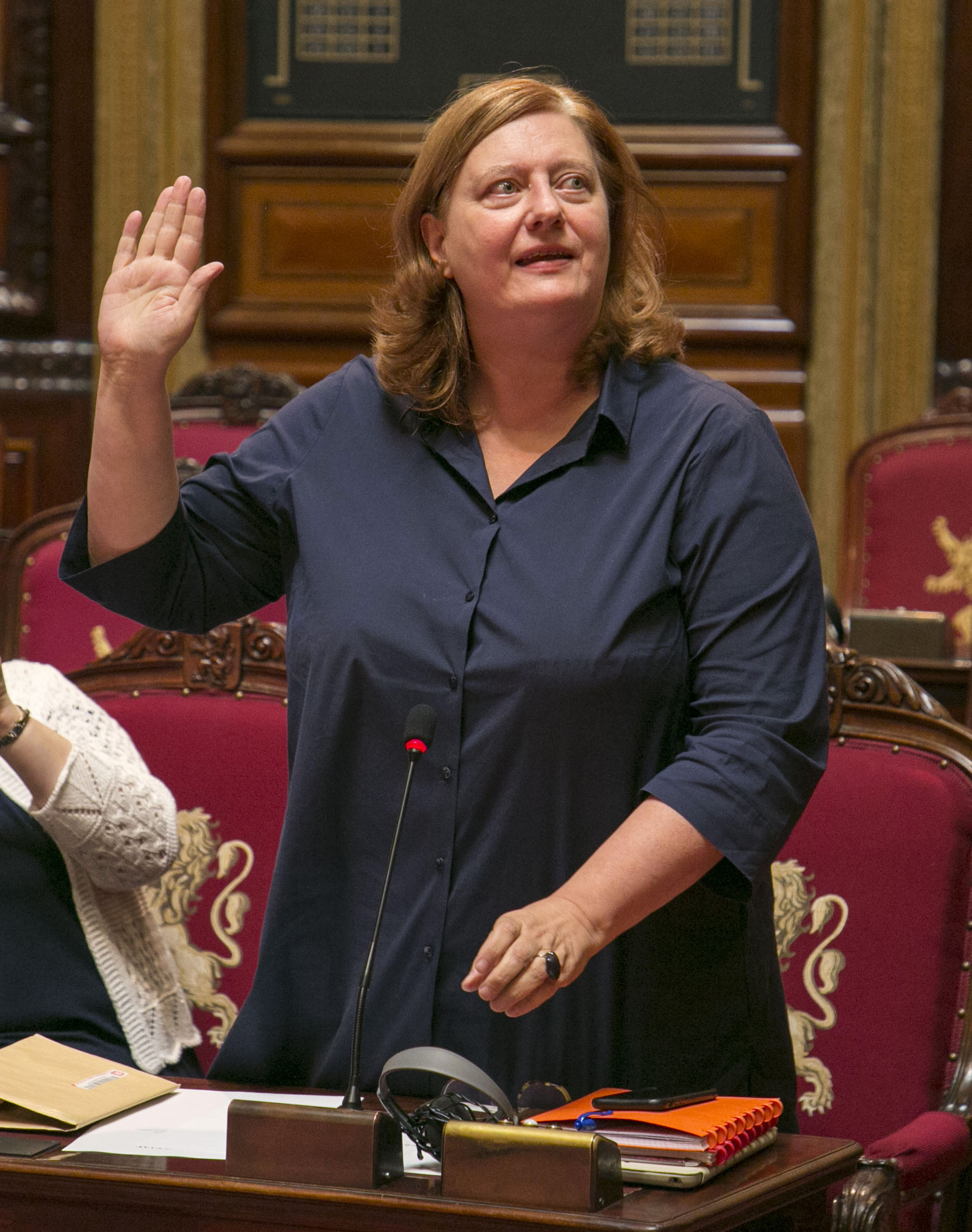  11 nieuwe senatoren